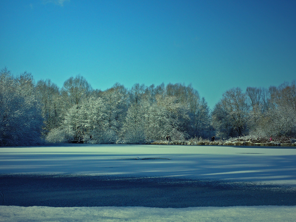 Winterlandschaft