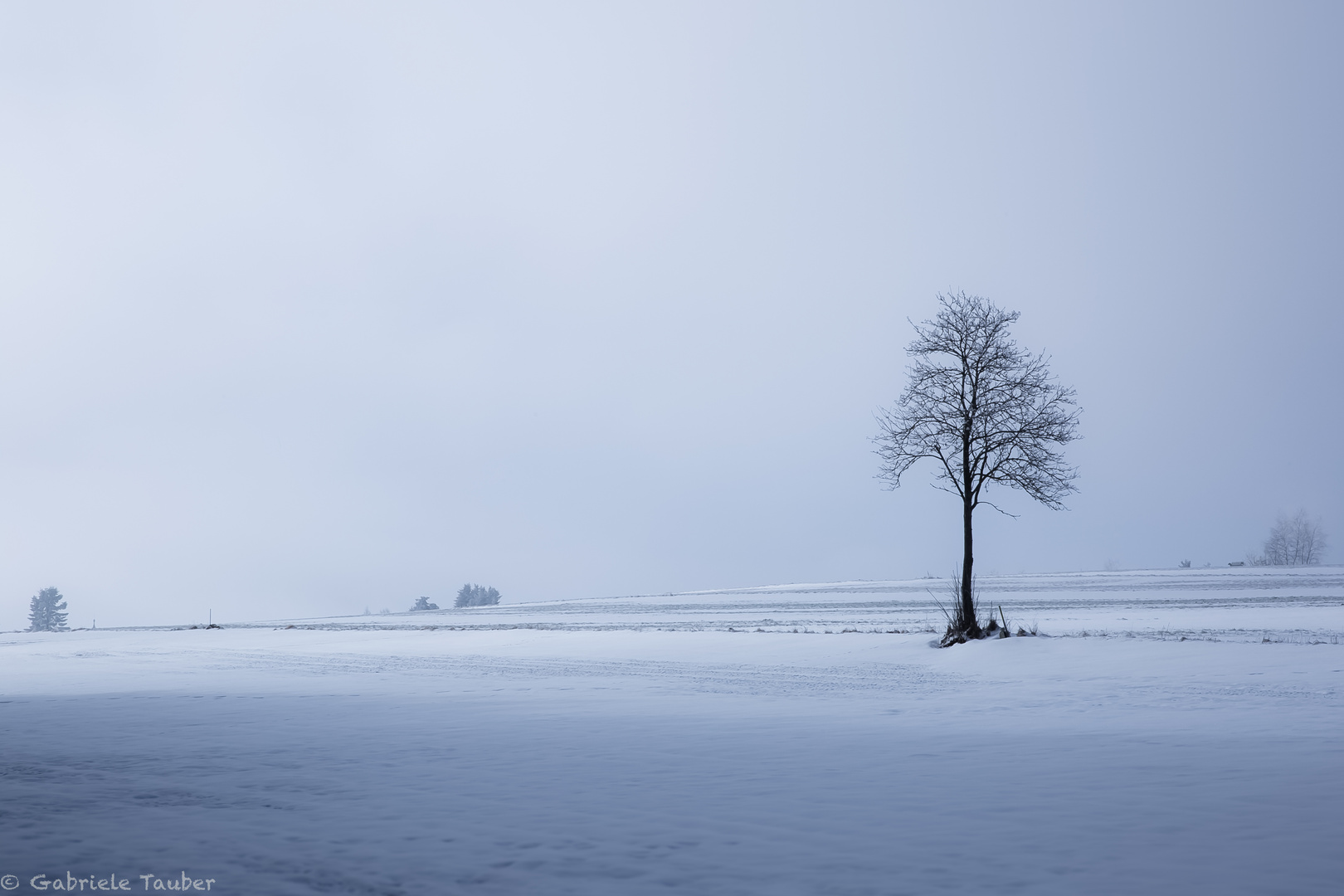 Winterlandschaft