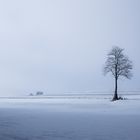 Winterlandschaft