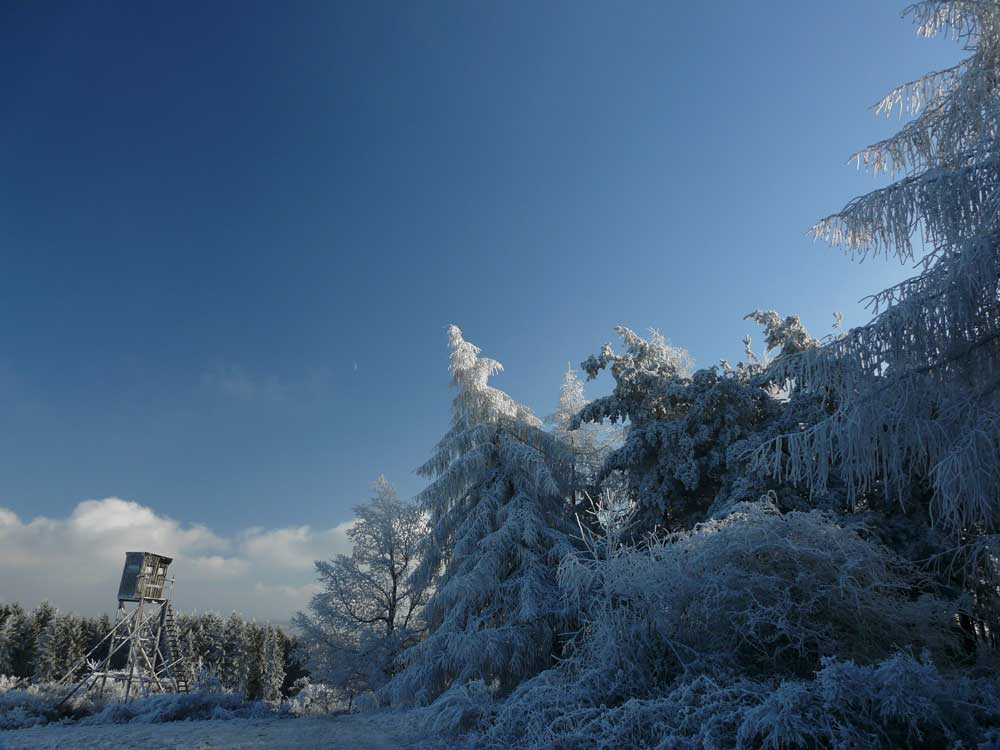 Winterlandschaft