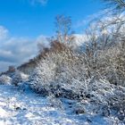 Winterlandschaft