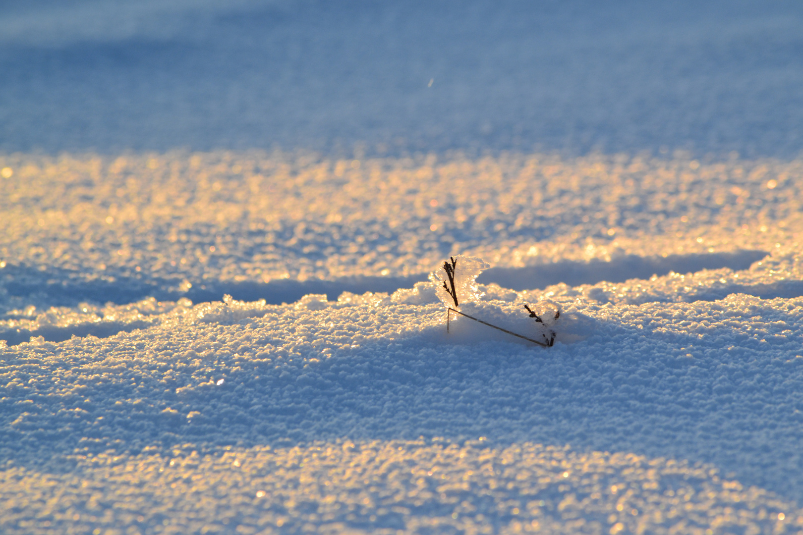 Winterlandschaft .