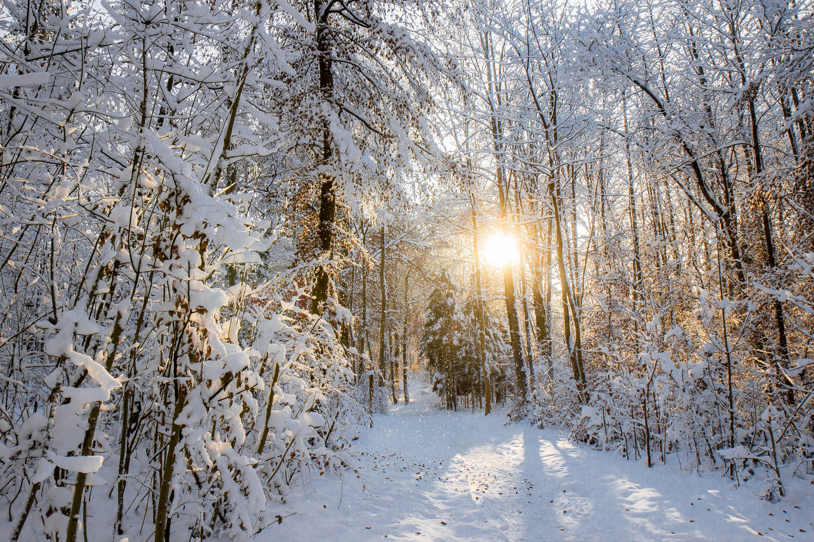 Winterlandschaft