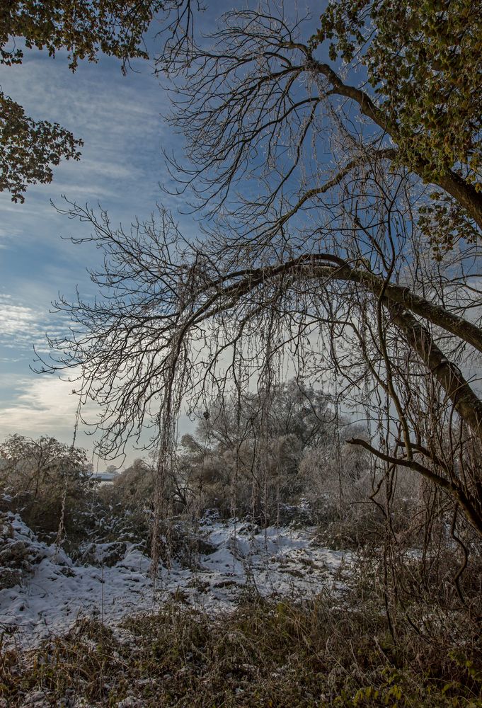 Winterlandschaft