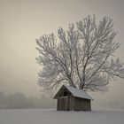 Winter|Landschaft