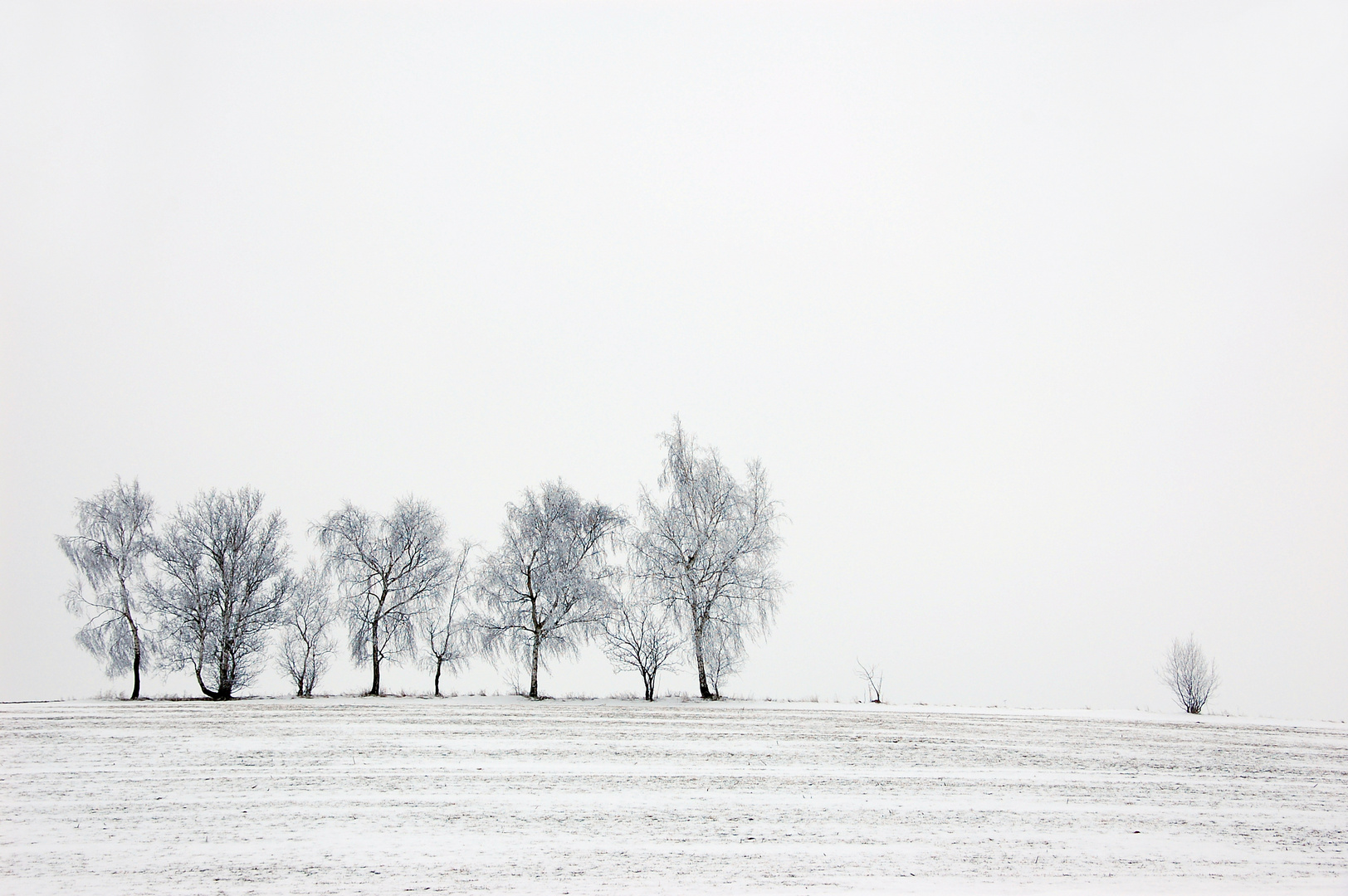 Winterlandschaft