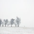 Winterlandschaft