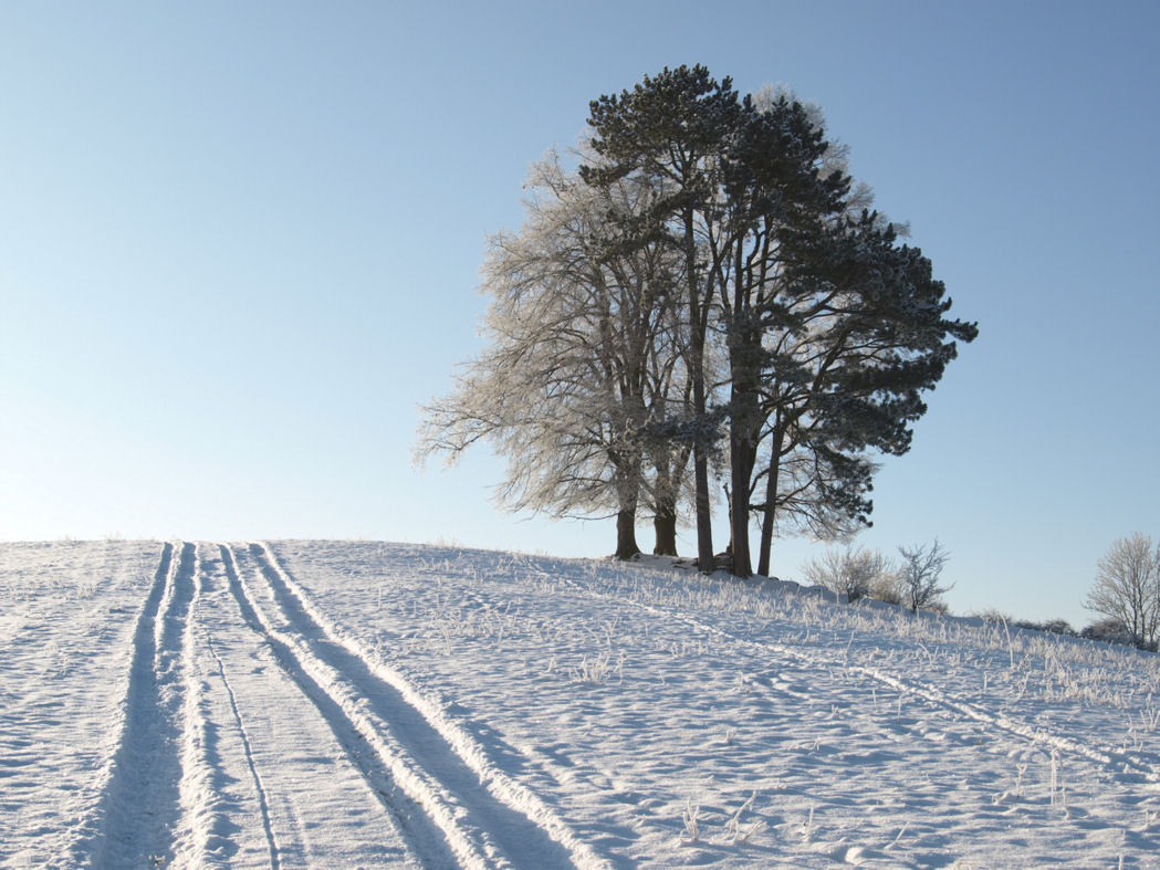 Winterlandschaft