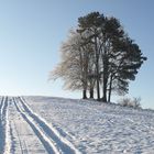 Winterlandschaft