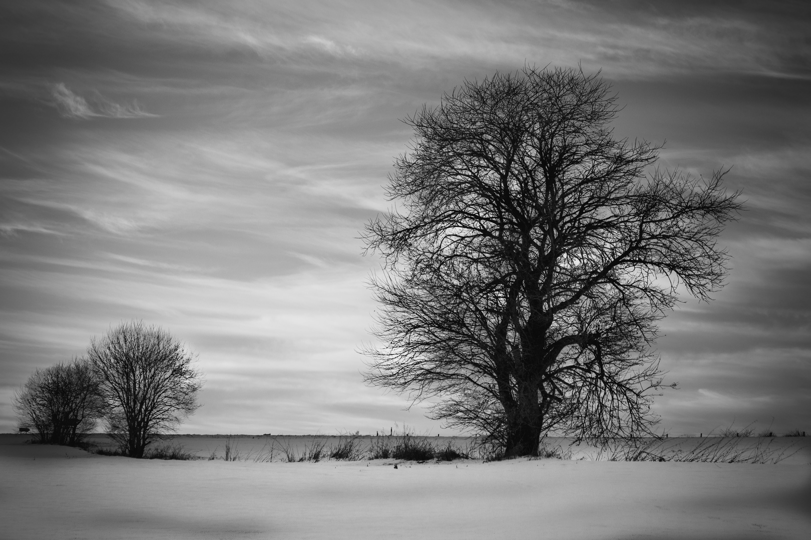 Winterlandschaft