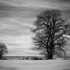 Winterlandschaft