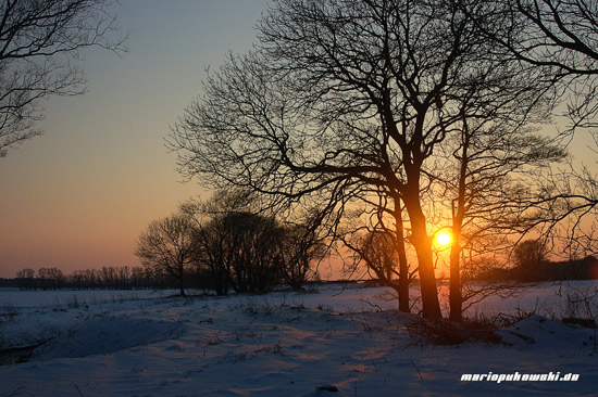 Winterlandschaft