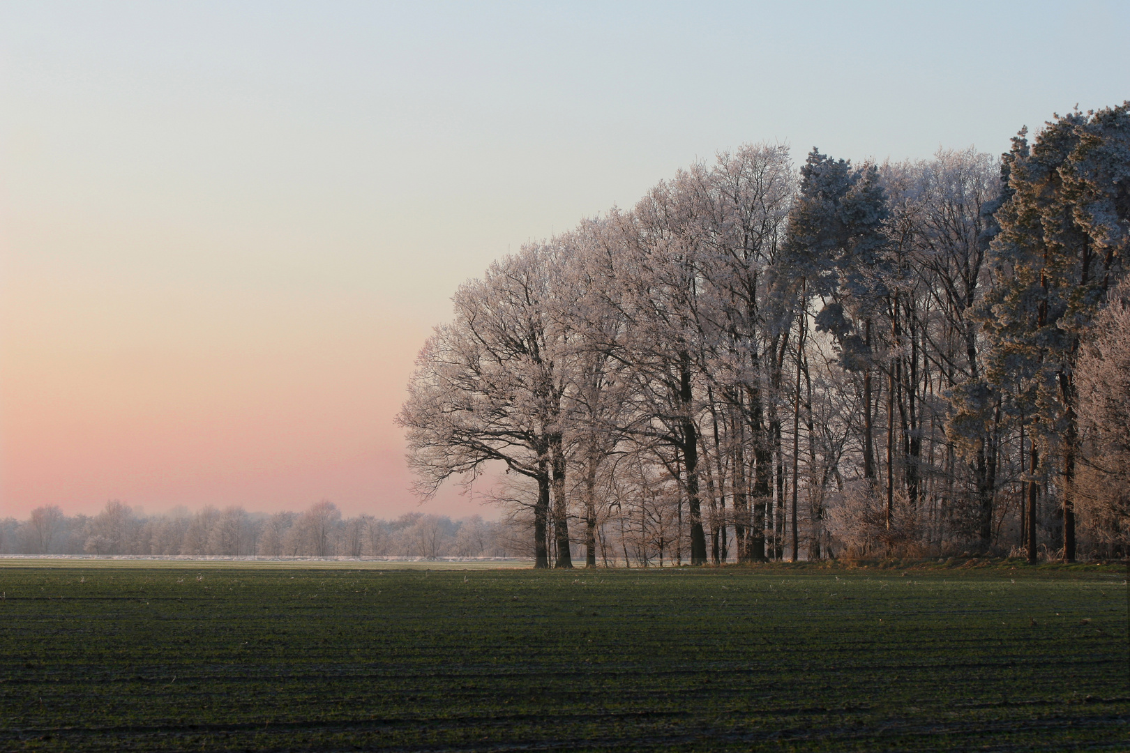 Winterlandschaft