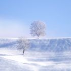 Winterlandschaft