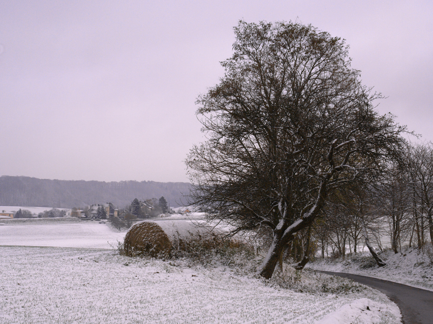 Winterlandschaft