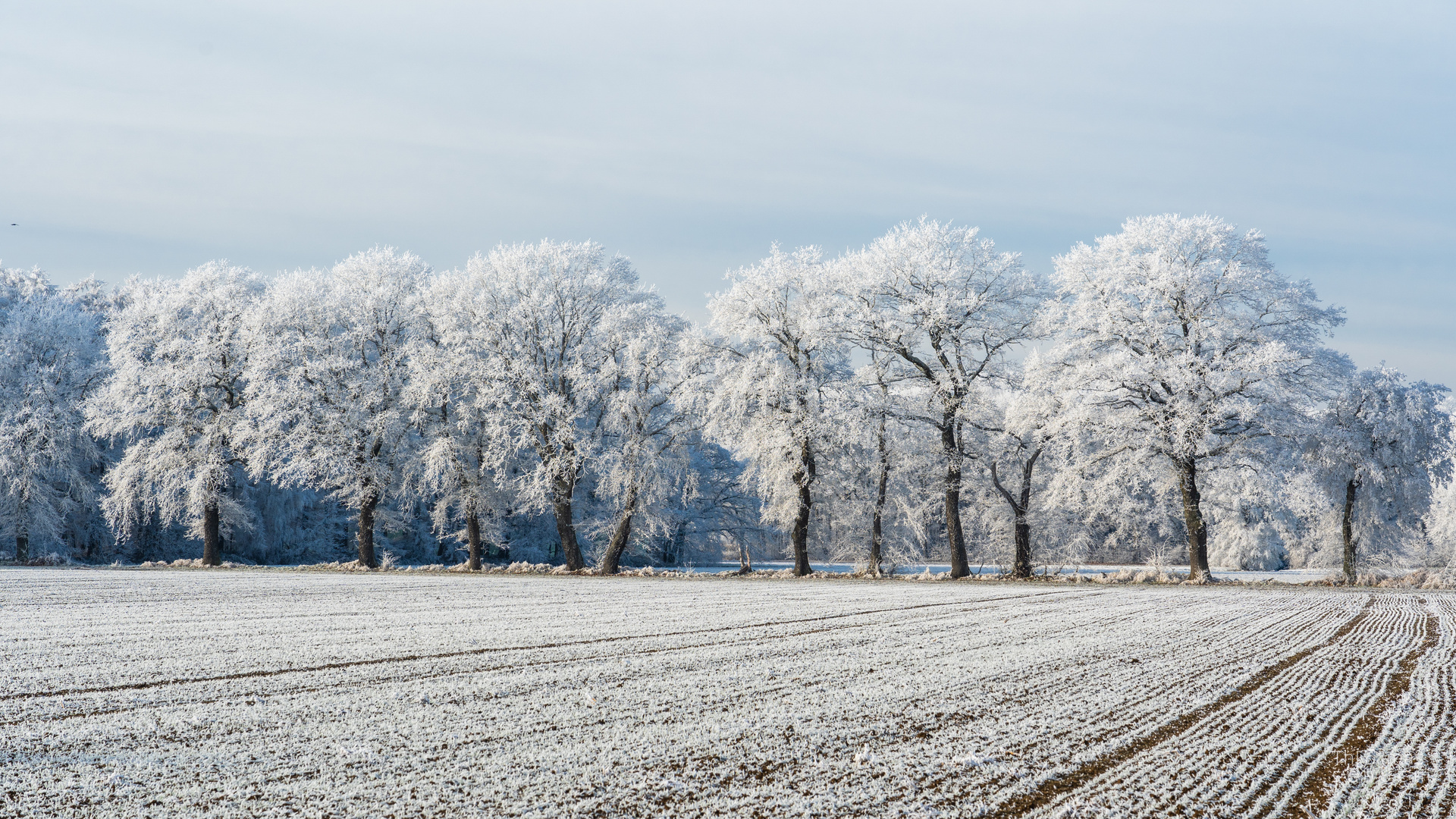 Winterlandschaft