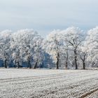 Winterlandschaft