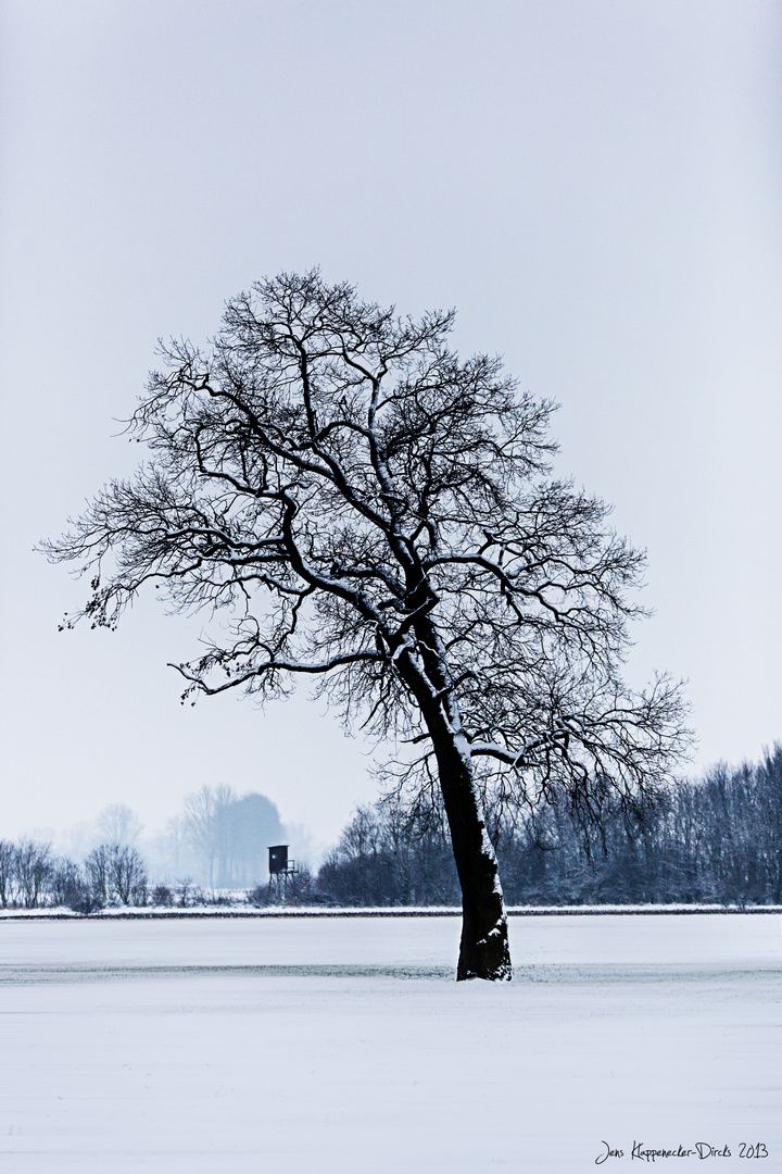 Winterlandschaft