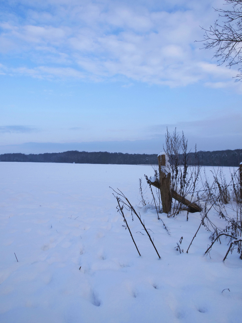 Winterlandschaft