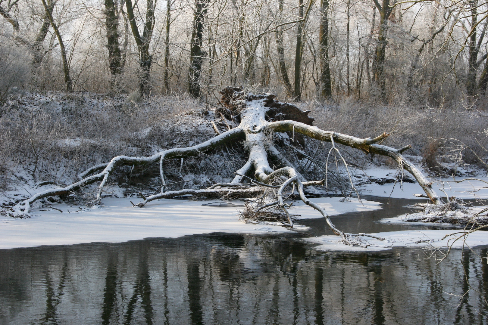 winterlandschaft