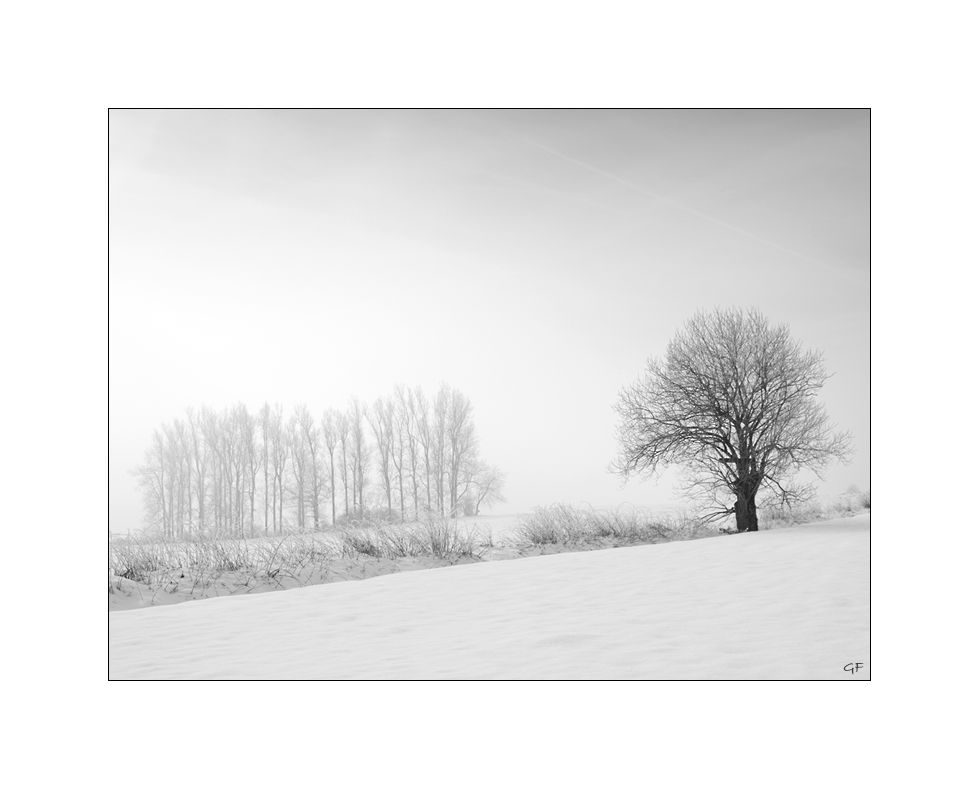 Winterlandschaft