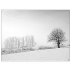 Winterlandschaft