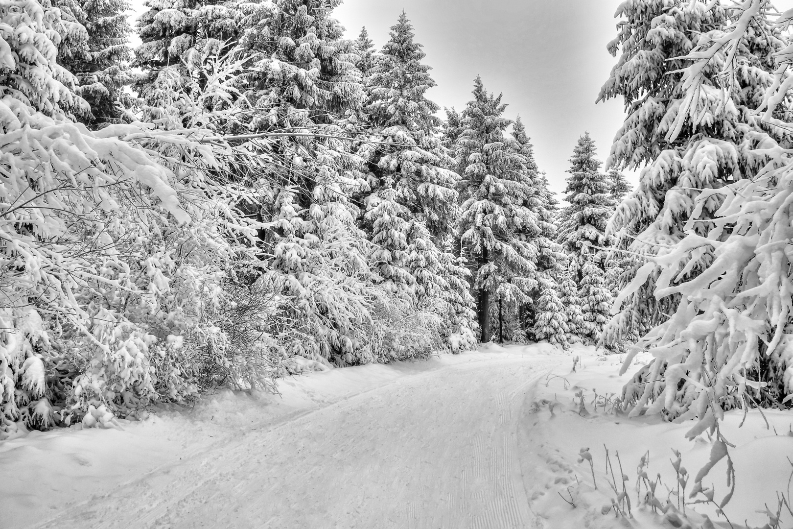 Winterlandschaft