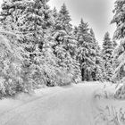 Winterlandschaft