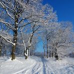 Winterlandschaft