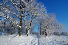 Winterlandschaft