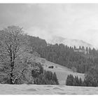 Winterlandschaft