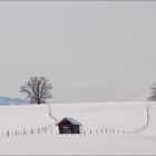 Winterlandschaft