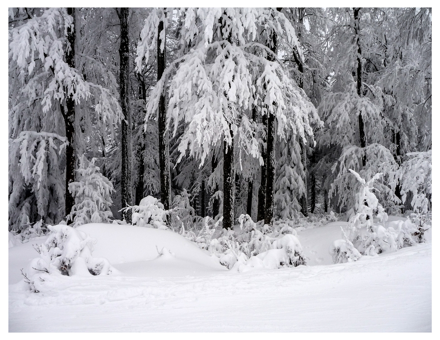 Winterlandschaft