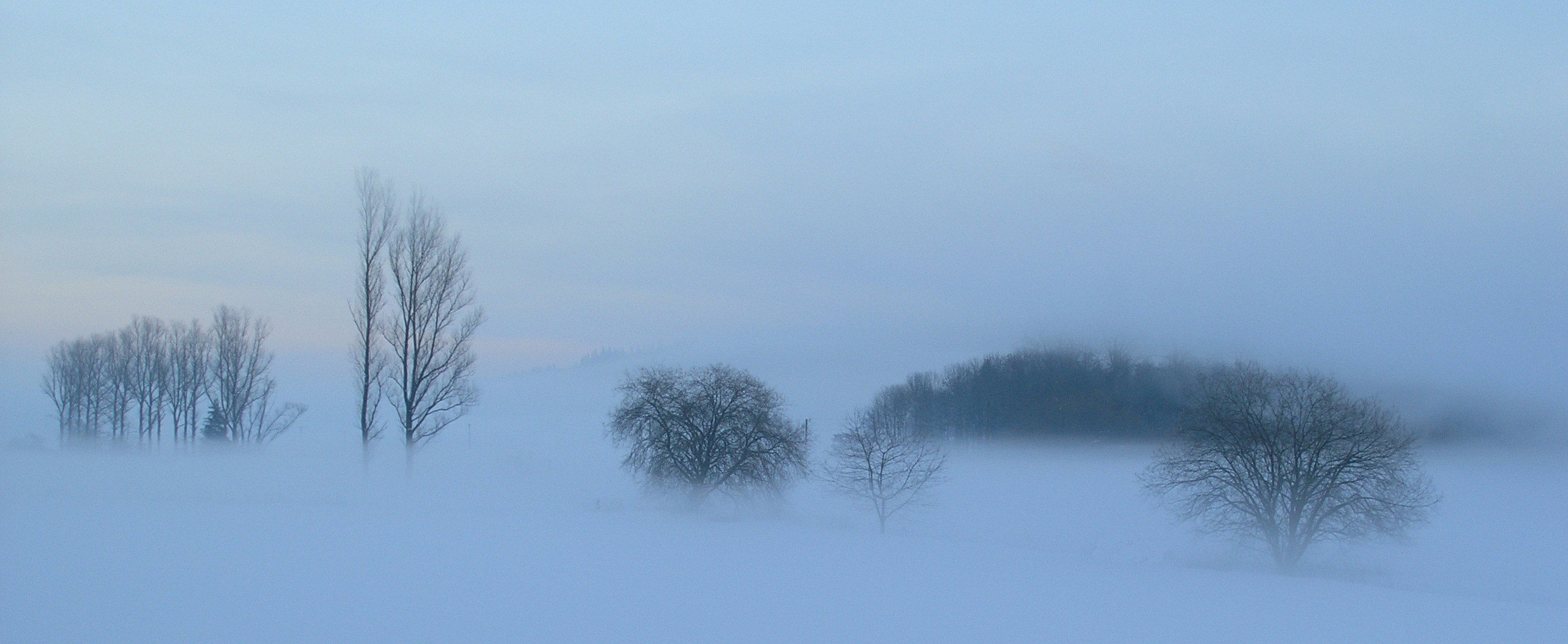 Winterlandschaft