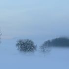 Winterlandschaft