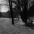 Winterlandschaft