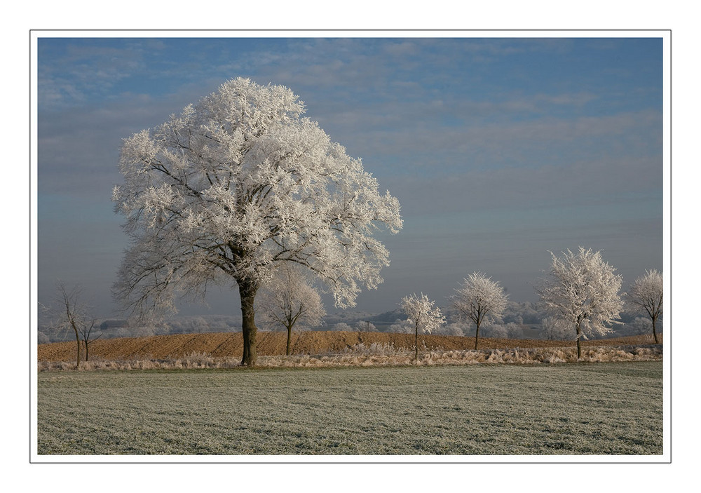 Winterlandschaft