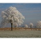 Winterlandschaft