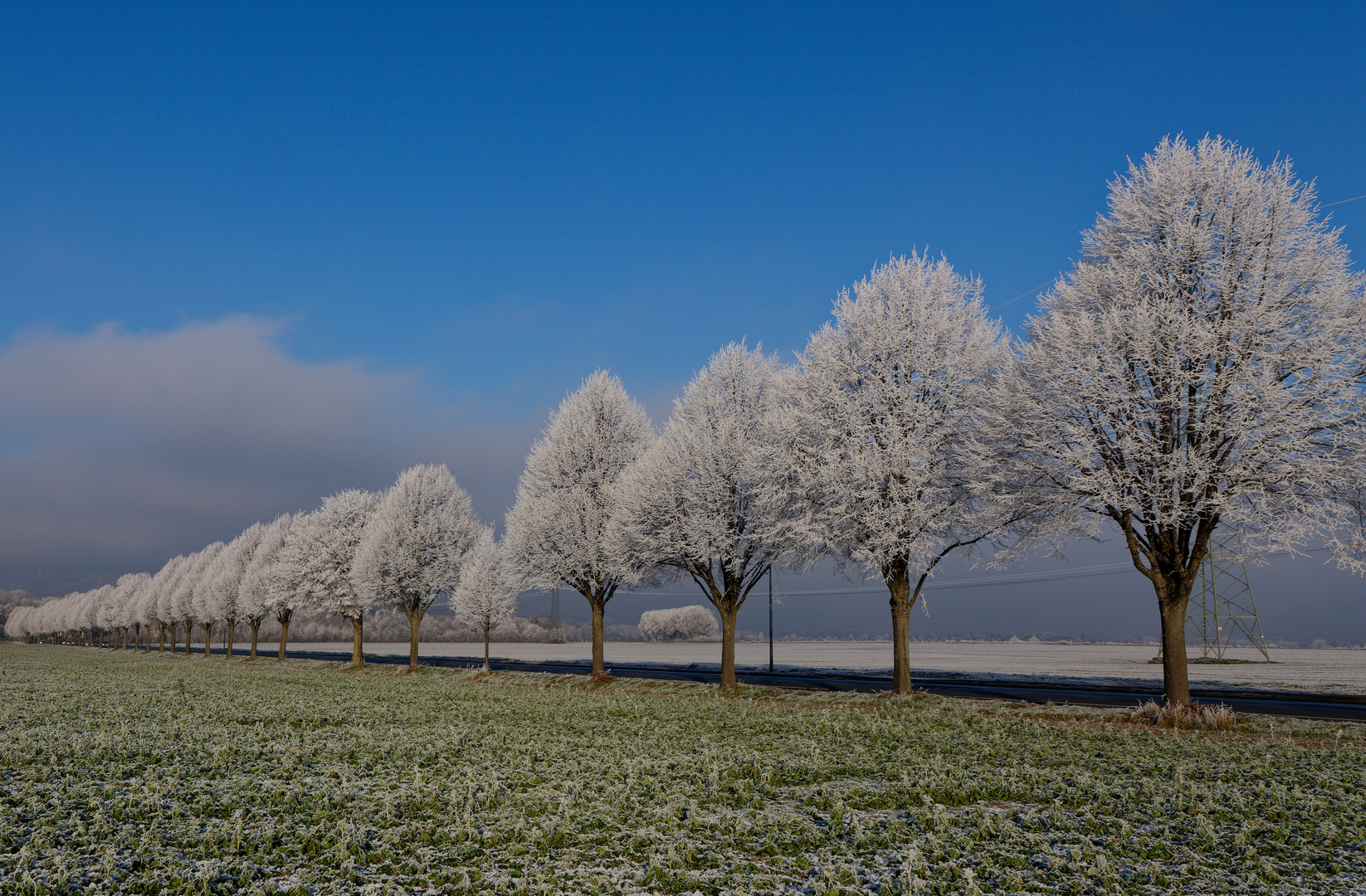 Winterlandschaft