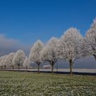 Winterlandschaft