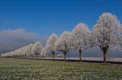 Winterlandschaft