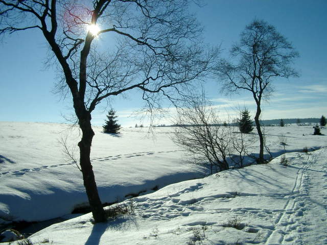 Winterlandschaft