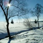 Winterlandschaft