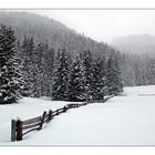 Winterlandschaft