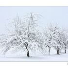 Winterlandschaft