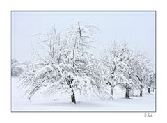 Winterlandschaft