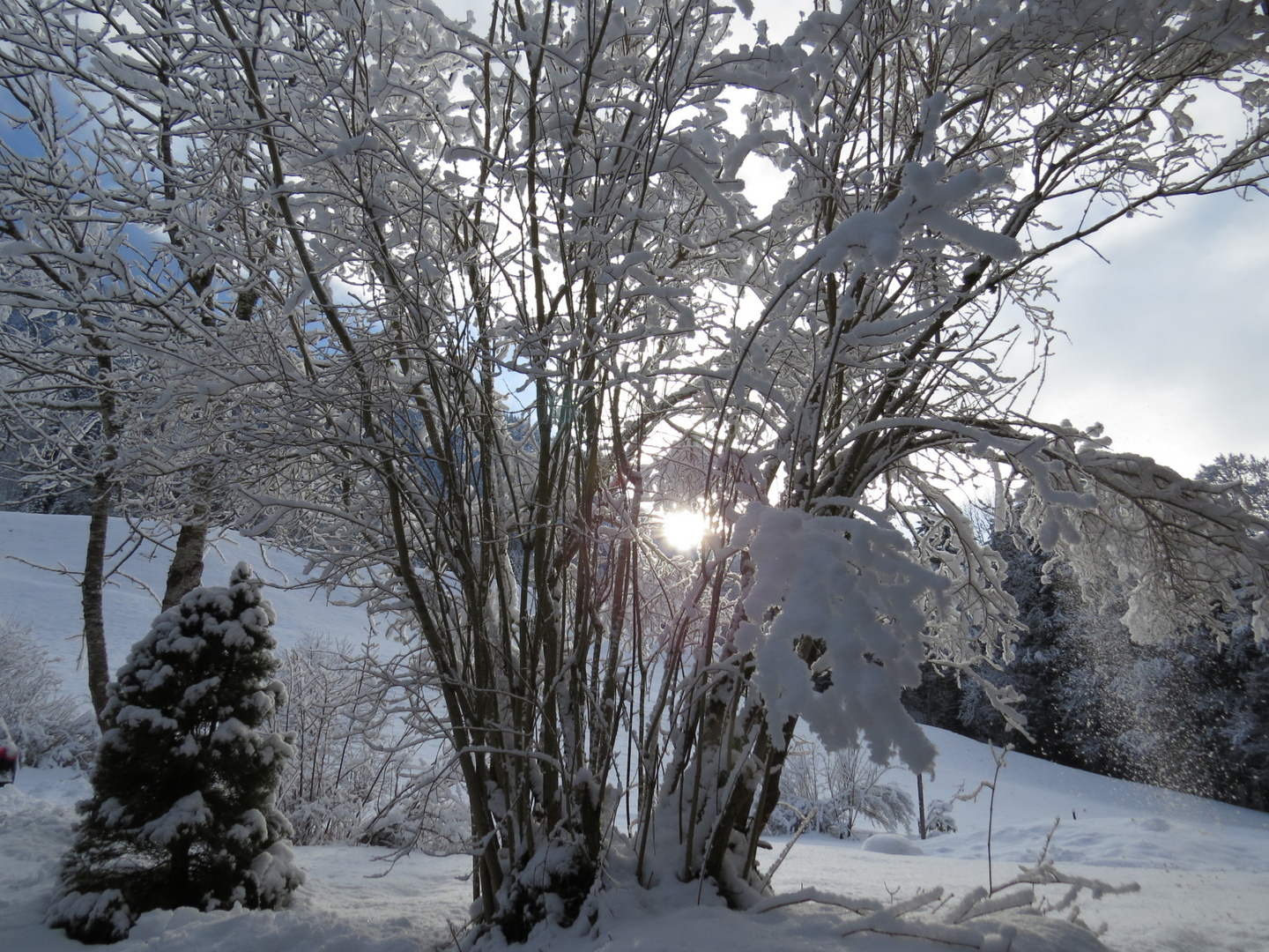 Winterlandschaft