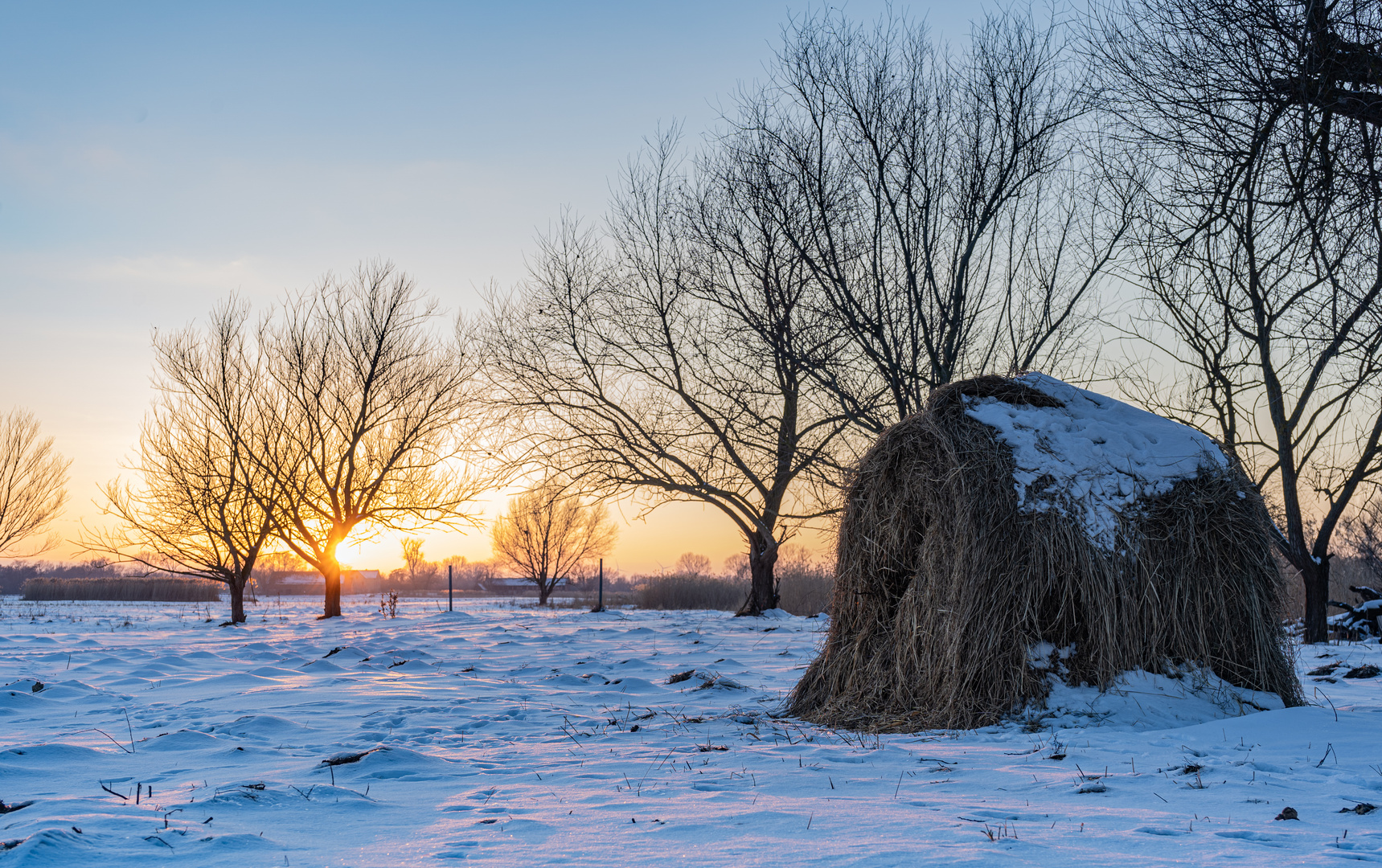 Winterlandschaft