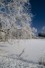 Winterlandschaft