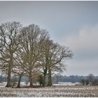 Winterlandschaft